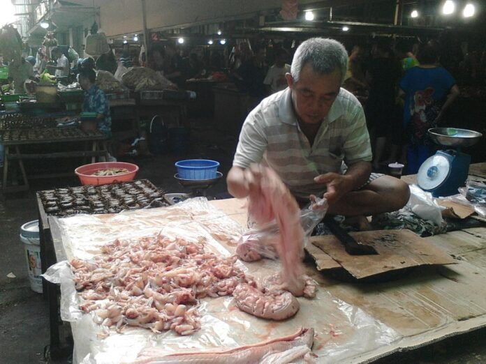 Fhang Khat Tjin (63 tahun), penjual daging ular sawah di Pasar Tradisional Flamboyan, Pontianak, Kalimantan Barat, Kamis, 7 Juli 2016. Khat mengaku menjual daging ular sawah di Pasar Flamboyan, Pontianak, selama 20 tahun terakhir.. (Foto: Aju)