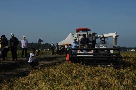 Asisten Teritorial (Aster) Kasad Mayjen TNI Komaruddin S. sedang meminjau panen padi asal Indonesia di Wasan, Brunei (Ist)