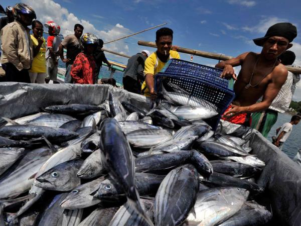 tangkapan ikan oleh nelayan di laut Indonesia (Ist)
