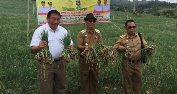 Direktur Jenderal Hortikultura, Spudnik Sujono dengan rombongan mengunjungi Desa Siambo, Kabupaten Enrekang, juga untuk panen raya bawang merah, Rabu (22/2). (Ist)