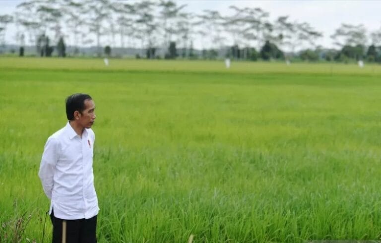 TEPAT…! Presiden Jokowi : Pembangunan Pertanian Harus Dalam Skala Luas!