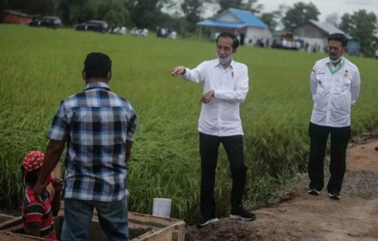 PECUT PAK..! Presiden Jokowi Minta Kementan Selesaikan “Food Estate” Tahun Ini