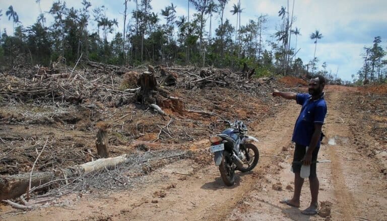 SIKAAAAT….! KPK Temukan Pelanggaran Izin Kelapa Sawit dan Deforestasi Hutan di Papua Barat