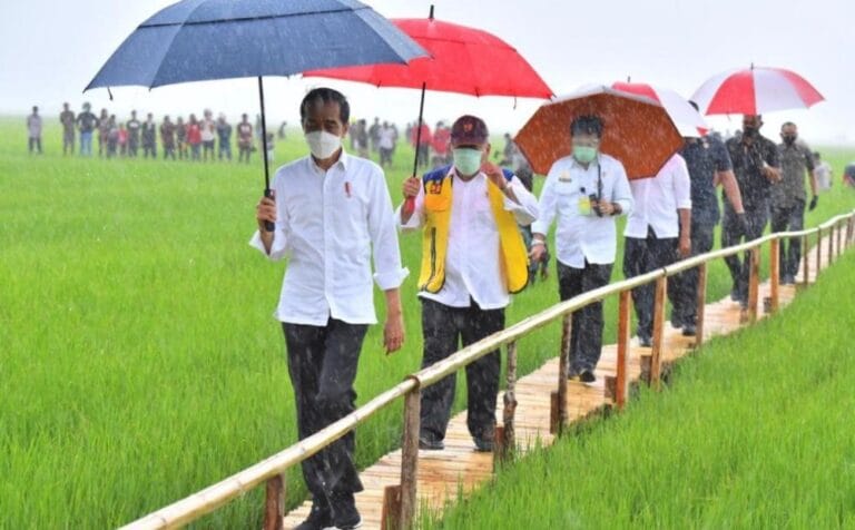 BURUAAAN…! Presiden Jokowi Ungkap Rencana Besar Pemerintah Bangun Lumbung Pangan Raksasa di NTT