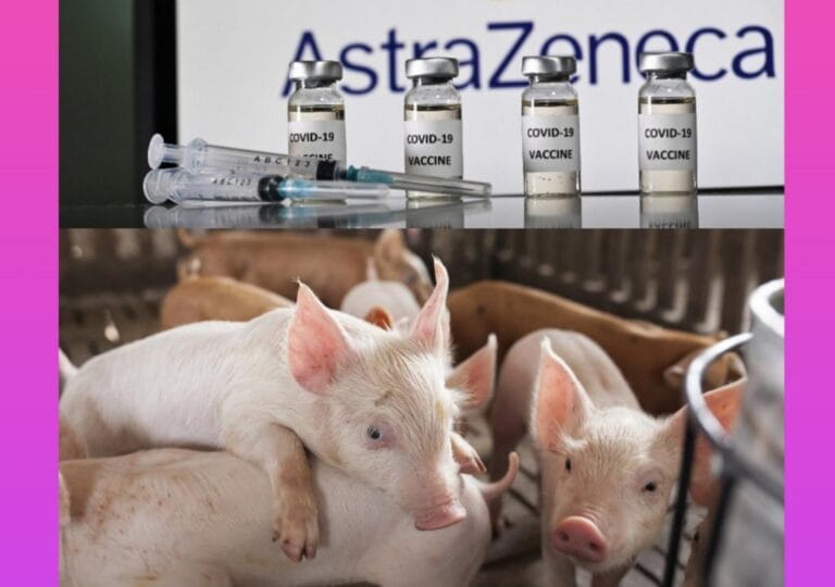 ASTAGA HARAM DOOONG..! Polemik AstraZeneca, Pakar: Tripsi Babi Cuma Dipakai di Awal Proses