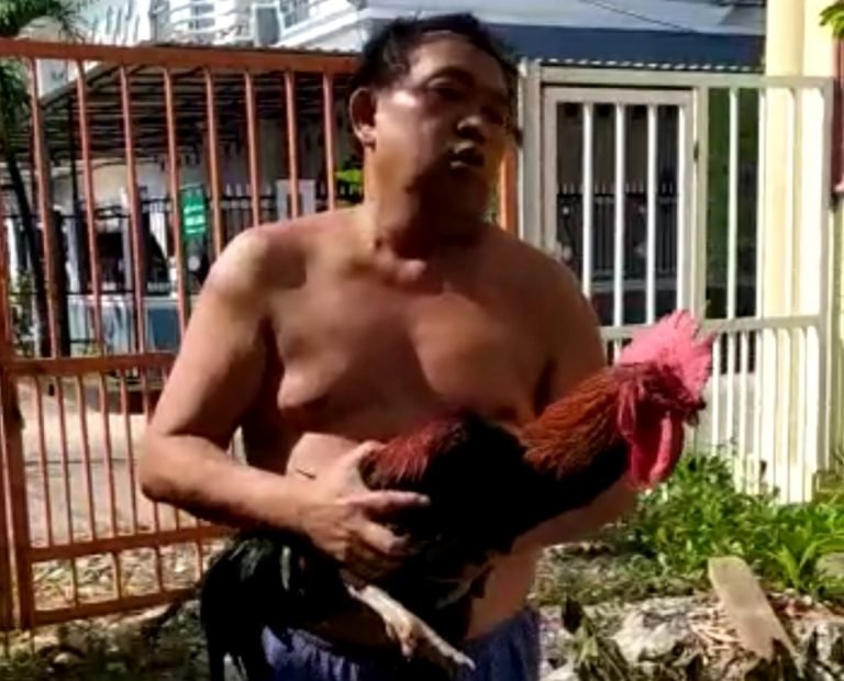 MUBAZIR MAAAAS….! Arief Poyuono: Percuma Ada PPHN Kalau Presiden Hanya 2 Periode