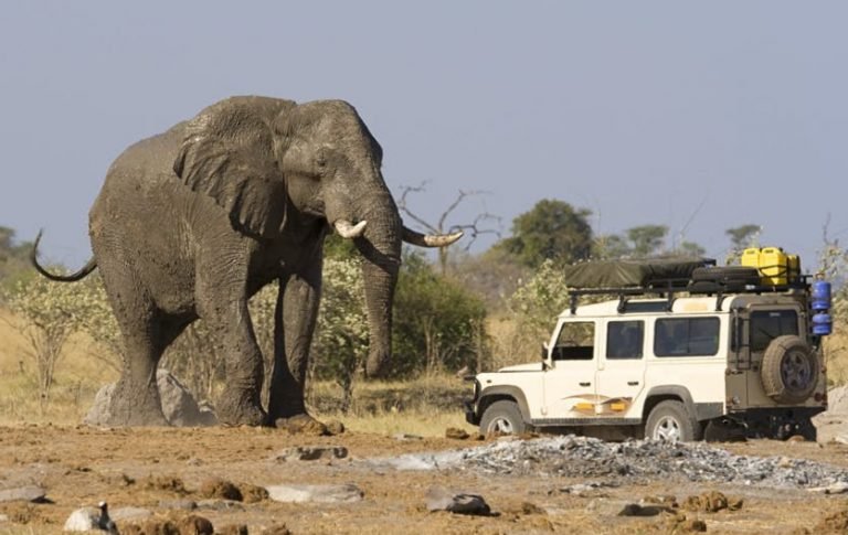 WASPADA GAEEZ..! Ini Efek Mengerikan Varian Omicron, Berawal Di Botswana
