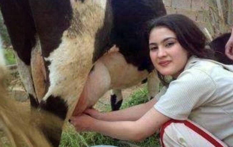 BANGUN KEMBALI INDUSTRI SUSU NASIOMAL…! Erick Thohir: 80 Persen Susu Masih Impor, Bagaimana Anak Indonesia Bisa Lebih Baik?