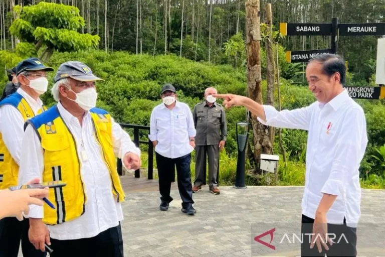 PECUT JANGAN KENDOR PAK…! Pindahan Ibu Kota Jokowi Pastikan Januari Nanti Gedung-Gedung Sudah Terbangun Di IKN