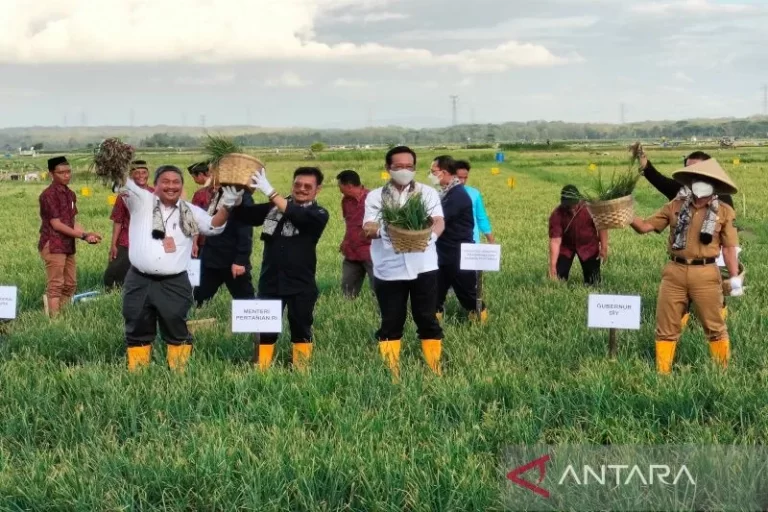 BENER GAK NIH…! Mentan Akan Beli Kedelai Petani Dengan Harga Rp10 Ribu Per Kilogram
