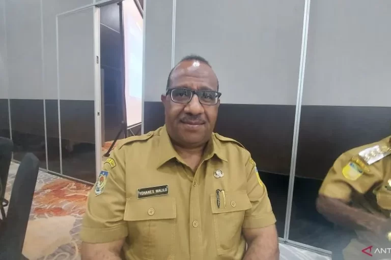BUAT ORANG PAPUA DONG..! Tiga Provinsi Baru Di Papua Perlu 3.200 ASN