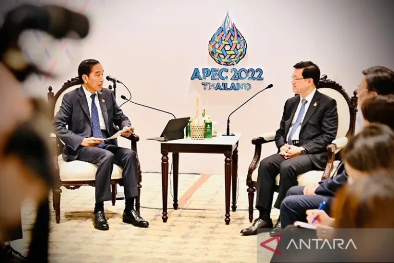 TERLAMBAT RUGI LOH..! Presiden Jokowi Ajak Investor Hong Kong Ikut Bangun IKN