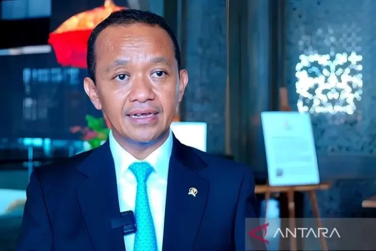 CERDAS NIH…! Indonesia Siapkan Formulasi Organisasi Negara Penghasil Nikel Semacam OPEC