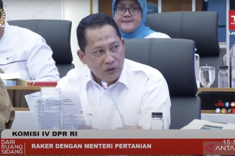 SERIES NIH..? Buwas: Tak Ada Lagi Impor Beras Pada Maret 2023