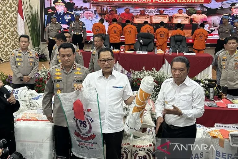 GAK BISA DIBERANTAS NIH..? Bulog: Mafia Manfaatkan Operasi Pasar Jual Beras Bulog Harga Premium