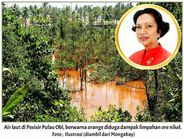 Pemilu Biaya Tinggi dan Praktik Politik Ijon