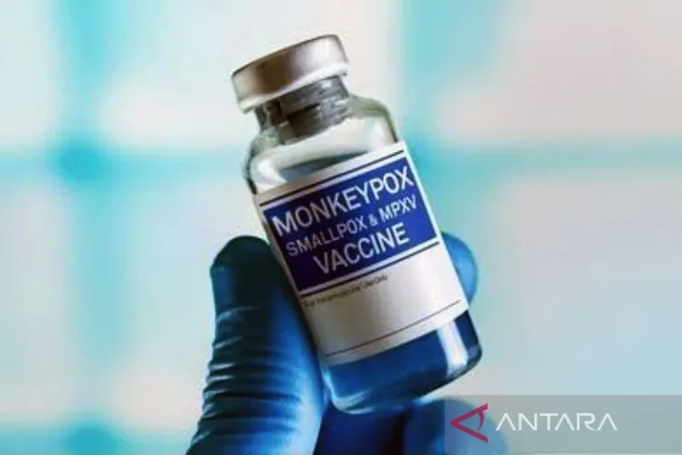 AWAS NIH..! Korea Selatan Laporkan 10 Kasus Baru Monkey Pox