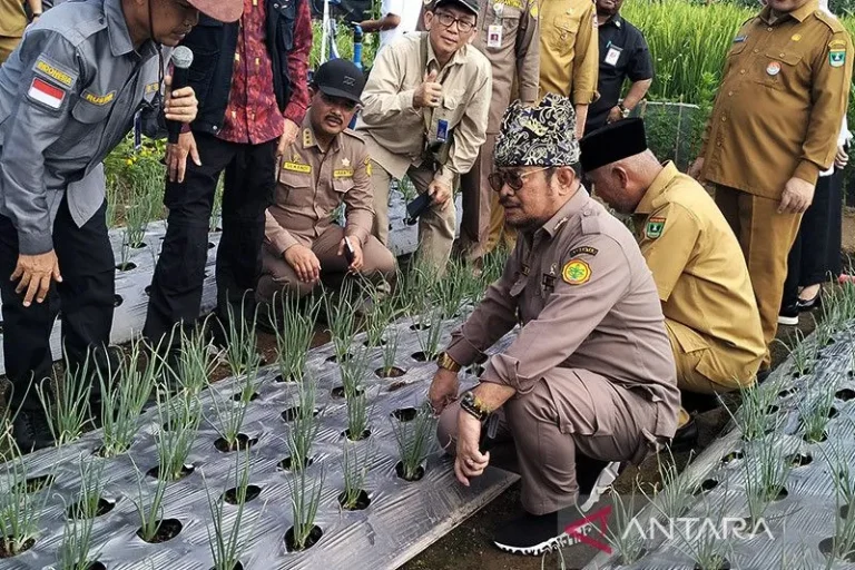 SEKARANG NGAPAIN AJA LAMA BANGET..? Mentan Optimistis Indonesia Jadi Lumbung Pangan Dunia pada 2045