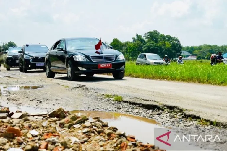 AWAS LICIN PAK…? Mobil Jokowi Lintasi Jalan Berkubang Di Terusan Ryacudu Lampung