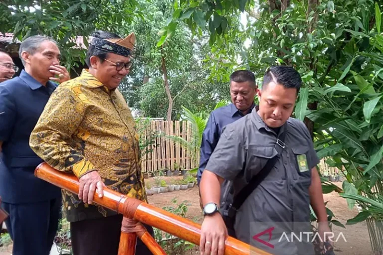 PERKETAT PENGAWASANNYA DONG..! Ketua MA Minta Hakim Tegas Atasi Mafia Tanah
