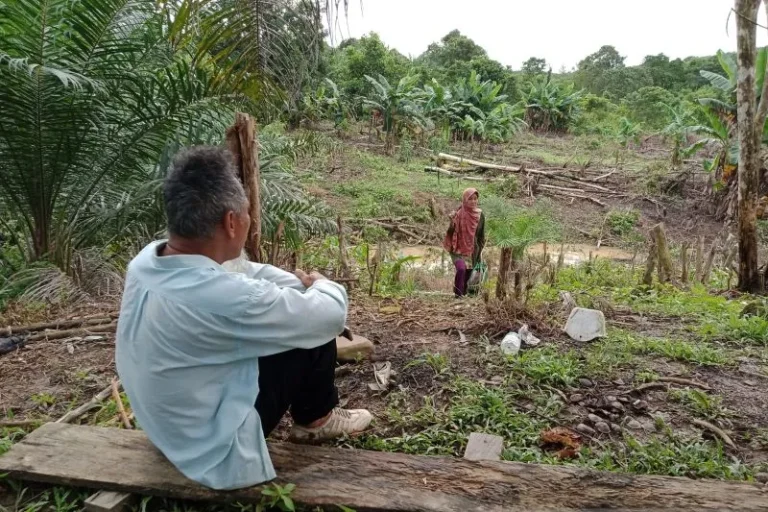JANGAN OMDO..! Otorita IKN: Pembangunan IKN Libatkan Masyarakat Lokal