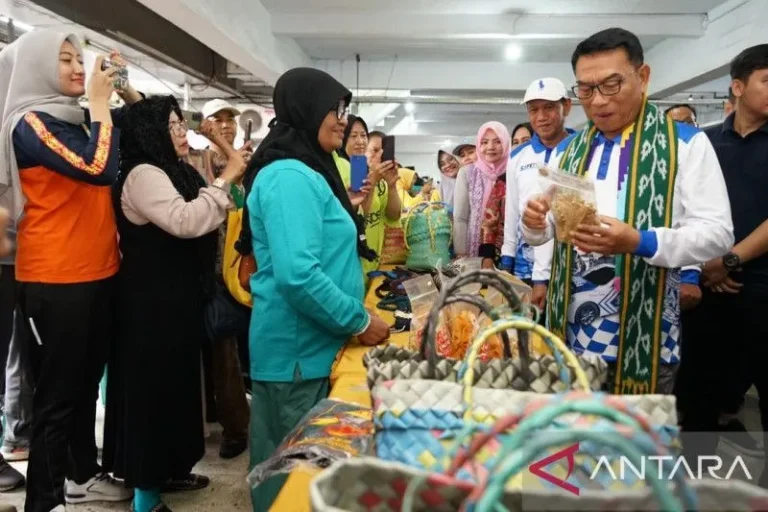 INI BARU BENER..! KSP: UMKM Harus Masuk Perdagangan Daring Untuk Perluas Pasar
