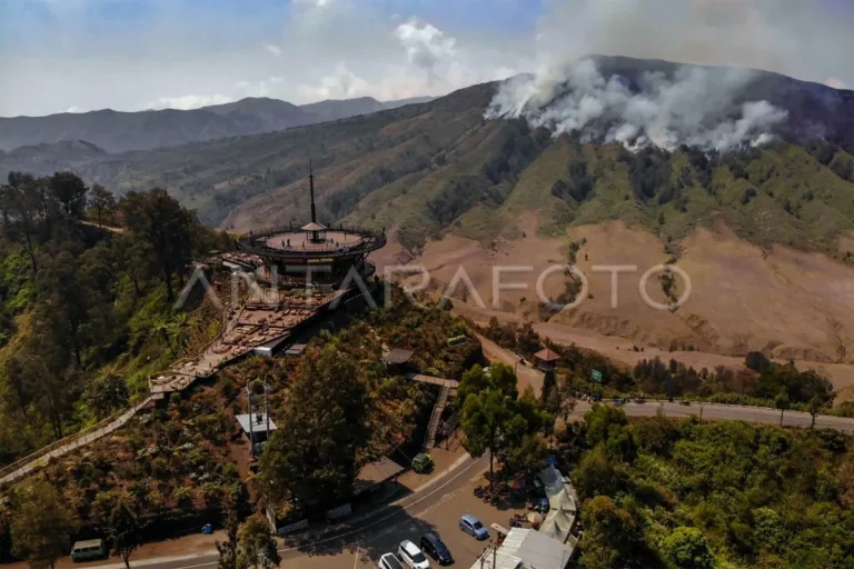 BIAYAI SAMPAI TUNTAS DONG..! BNPB: Denda Pelaku Karhutla Bromo Masih Kurang Dibanding Ongkos Water Bombing