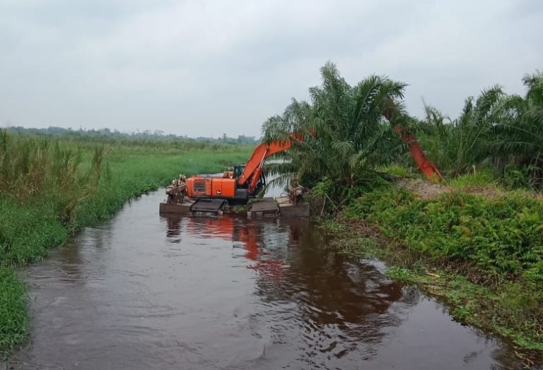 LAPOR KE ISTANA DONG..! Kebun Sawit Rakyat 11.000 Ha Rusak Akibat Tanggul PT Inti Palm: 8 Tahun 4 Desa Terendam Banjir