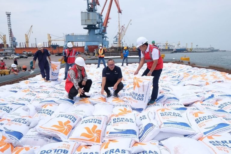 KAPAN SWASEMBADA BERAS..? Bulog Gelontorkan Beras Impor, Boleh Dijual Lagi Maksimal Rp 13.900/Kg
