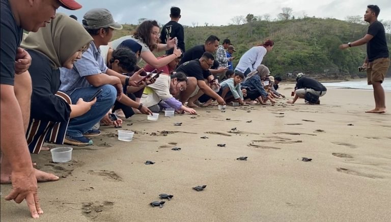 Pansela Pesisir Selatan Jawa Nan Indah Dan Eksotik Vs Ancaman Kerusakan Ekologi
