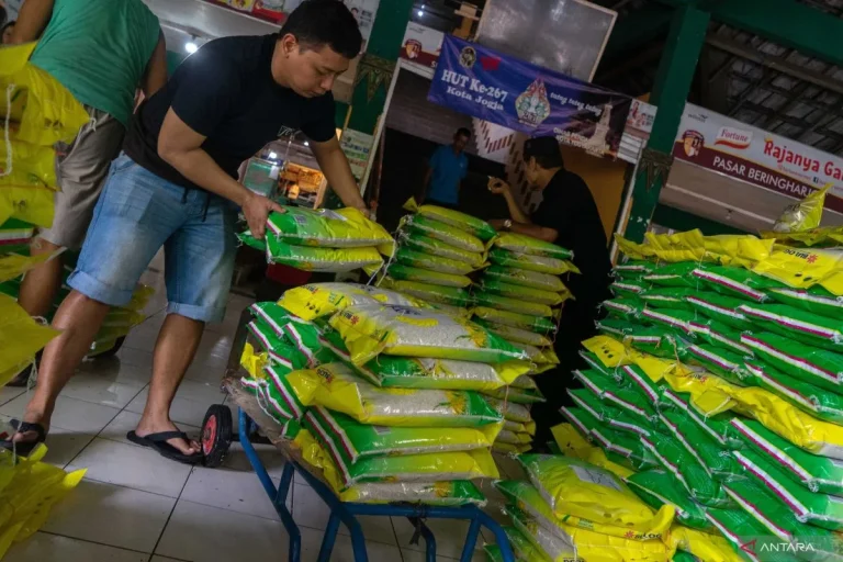 JANGAN BOONG AH..! Bapanas Jamin Impor Beras Distop Saat Panen Raya Dimulai