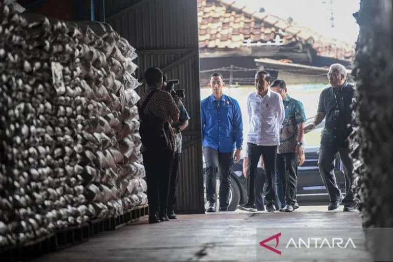 CUKUP GAK..? Bulog Pastikan Stok Cadangan Beras Pemerintah Aman Capai 1,4 Juta Ton
