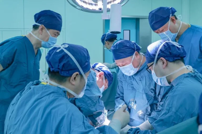 ADA HARAPAN NIH..! Peneliti China Berhasil Transplantasi Ginjal Babi Ke Tubuh Manusia
