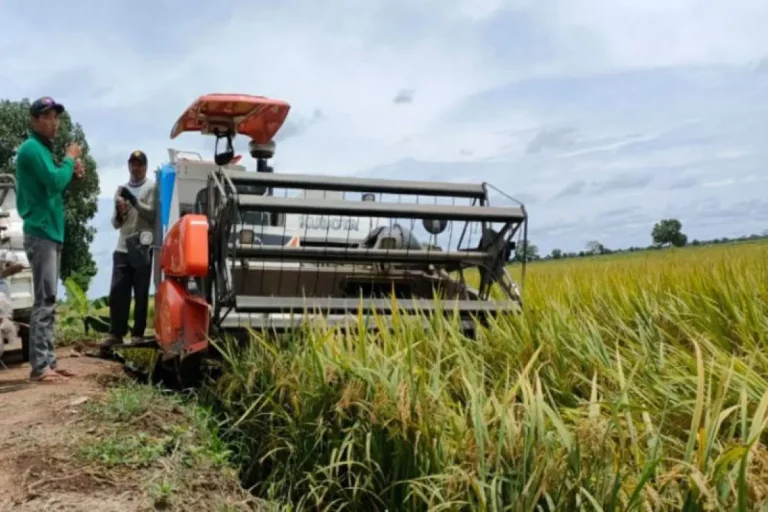 INI TUGAS MENTAN BARU DONG..! Mentan Targetkan Swawembada Pangan Melalui Pembangunan Kluster Pertaninan Modern di Kalimantan Tengah