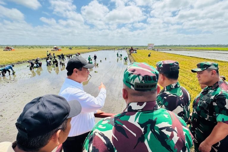 TUGAS MENTERI BARU DONG..! Mentan Targetkan Merauke Jadi Laboratorium Raksasa Pertanian Modern
