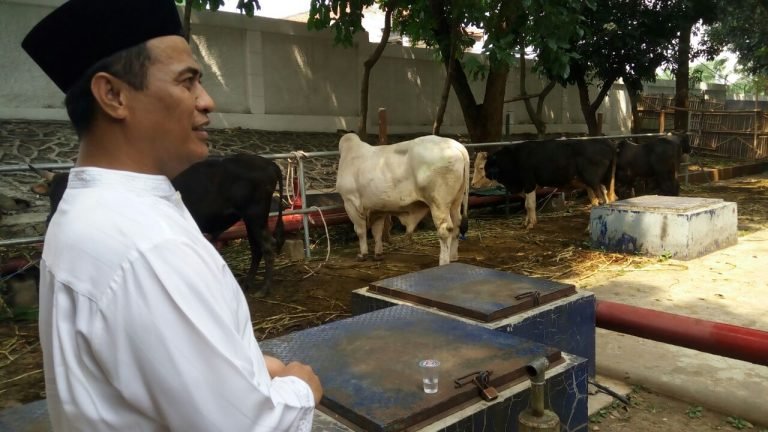 JANGAN LAMBAT..! Mentan Sebut 5 Investor Asing Serius Kembangkan Industri Sapi Perah di Indonesia