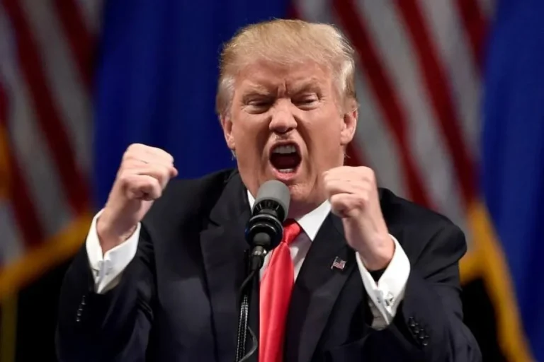 USAI MENANG DI WTO…! Pemerintah Desak Eropa Buka Pasar Ekspor Sawit RI: Kasih Tahu Donald Trump!