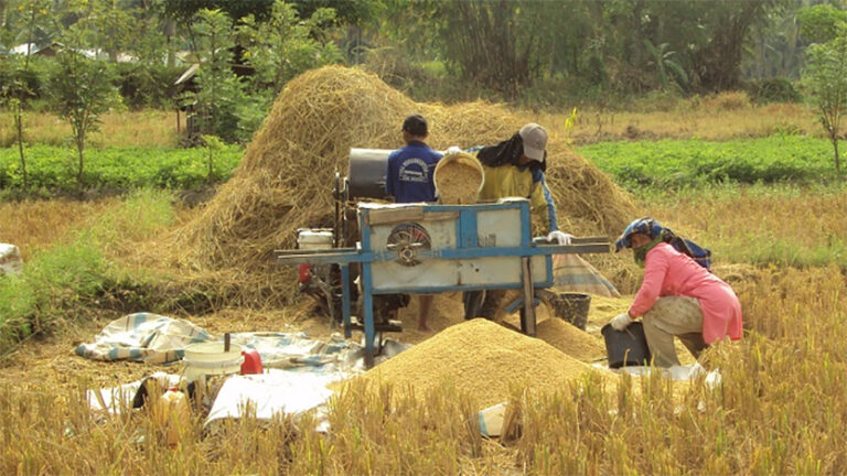GENJOT TERUS NIH..! 25.000 Gudang Darurat Bakal Dibangun buat Tampung Beras