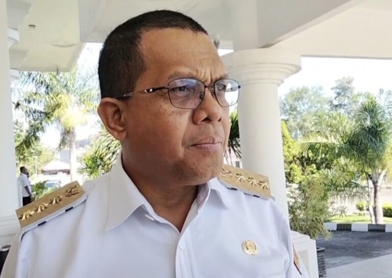 JANGAN RUGIKAN RAKYAT..! Pembangunan Energi Bersih di Manggarai, Gubernur NTT: Geotermal untuk Masa Depan Lebih Baik