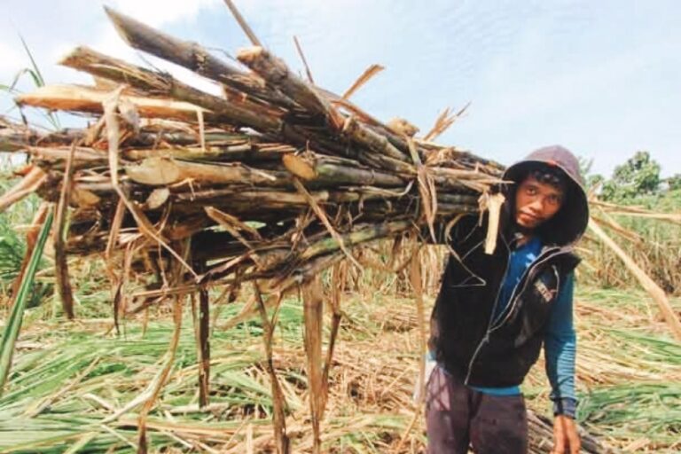 TERBONGKAR KAKI TANGAN MAFIA GULA NIH..! DPR Kejar Kemendag Soal Impor Gula 200 Ribu Ton