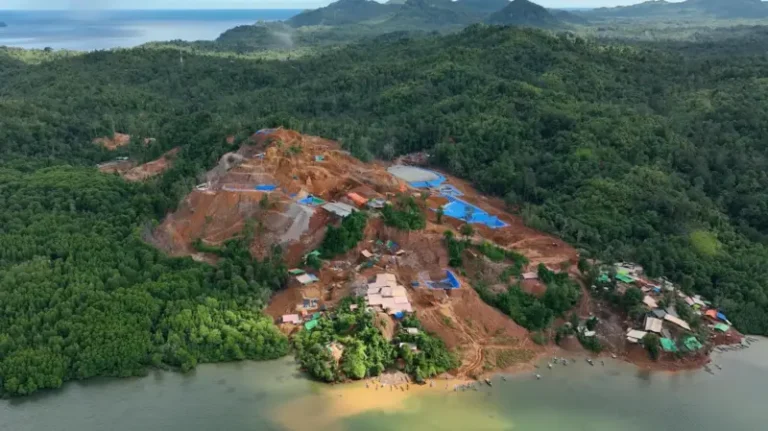 TERKUAK NIH..! Tambang Ilegal di Kawasan Hutan Nyaris 200 Ribu Hektar
