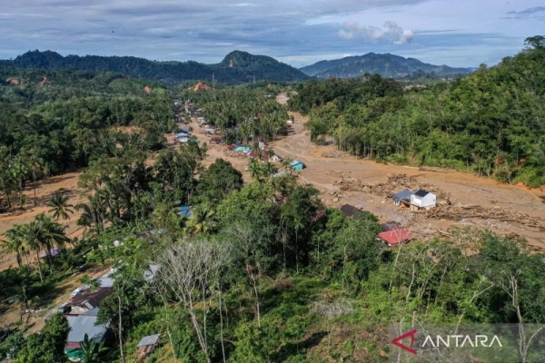 LAMA DIBIARIN NIH..! KPK Ungkap Celah Korupsi Pajak Sawit, Ketidaksinkronan Data Lahan Jadi Titik Rawan