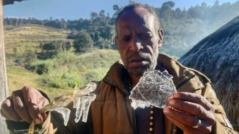 JAKARTA JANGAN DIAM..! Hujan Es dan Embun Beku Lagi-lagi Picu Krisis Pangan Di Papua, Gudang Logistik Selalu Kosong