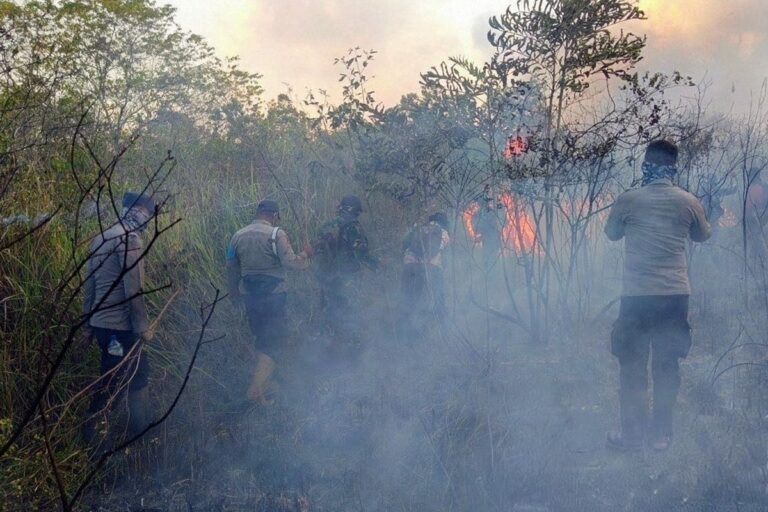 PRABOWO TAMBAH HELIKOPTER..! BMKG Catat Lonjakan Titik Panas di Sumatera Tembus 1.104, Karhutla Kian Mengancam