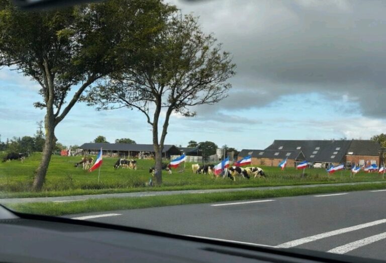 Tanah yang Diperebutkan, Manusia dan Alam yang Diselamatkan: Refleksi Hari Agraria dan Tata Ruang dari Groningen